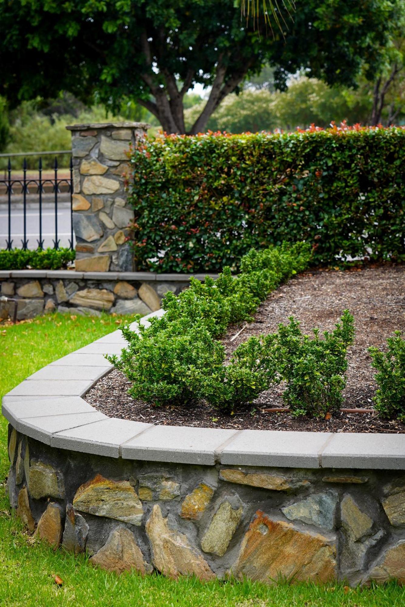 Barossa Bed & Breakfast Tanunda Esterno foto
